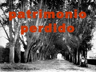 patrimonio perdido 