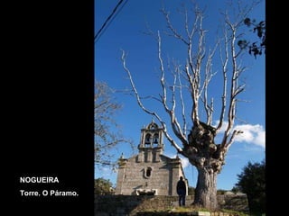 NOGUEIRA Torre. O Páramo. 