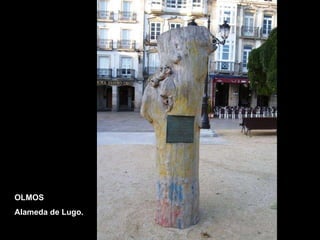 OLMOS Alameda de Lugo. 