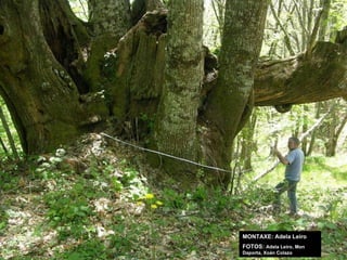 MONTAXE: Adela Leiro FOTOS:  Adela Leiro, Mon Daporta, Xoán Colazo 