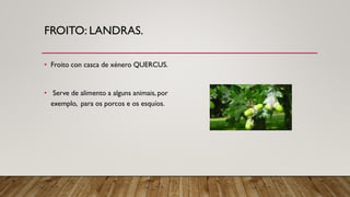 FROITO: LANDRAS.
• Froito con casca de xénero QUERCUS.
• Serve de alimento a alguns animais, por
exemplo, para os porcos e os esquíos.
 