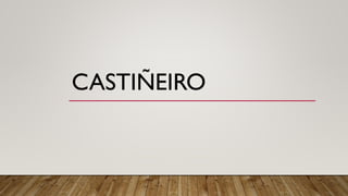 CASTIÑEIRO
 