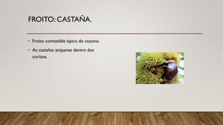 FROITO: CASTAÑA.
• Froito comestible típico do outono.
• As castañas atópanse dentro dos
ourizos.
 