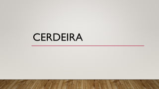 CERDEIRA
 