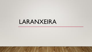 LARANXEIRA
 