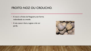 FROITO: NOZ OU CROUCHO.
• A noz é o froito da Nogueira, ten forma
redondeada ou ovoide.
• A súa casca é dura, rugosa e de cor
parda.
 