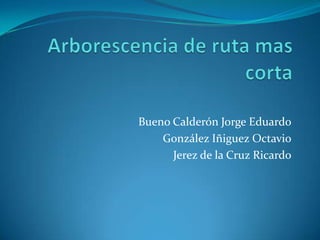 Bueno Calderón Jorge Eduardo
    González Iñiguez Octavio
      Jerez de la Cruz Ricardo
 