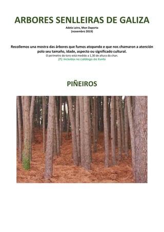 ARBORES SENLLEIRAS DE GALIZA
Adela Leiro, Mon Daporta
(novembro 2019)
Recollemos una mostra das árbores que fumos atopando e que nos chamaron a atención
polo seu tamaño, idade, aspecto ou significado cultural.
O perímetro do toro está medido a 1,30 de altura do chan.
(P): incluídos no catálogo da Xunta
PIÑEIROS
 