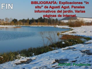 Arboreto olárizu iii | PPT