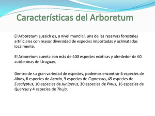 El Arboretum Lussich es, a nivel mundial, una de las reservas forestales artificiales con mayor diversidad de especies importadas y aclimatadas localmente. El Arboretum cuenta con más de 400 especies exóticas y alrededor de 60 autóctonas de Uruguay.Dentro de su gran variedad de especies, podemos encontrar 6 especies de Abies, 8 especies de Acacia, 9 especies de Cupressus, 45 especies de Eucalyptus, 10 especies de Juniperus, 20 especies de Pinus, 16 especies de Quercusy 4 especies de Thuja.