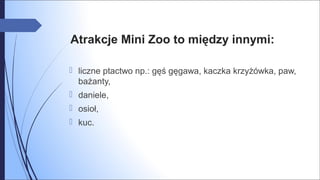 Atrakcje Mini Zoo to między innymi:
 liczne ptactwo np.: gęś gęgawa, kaczka krzyżówka, paw,
bażanty,
 daniele,
 osioł,
 kuc.
 