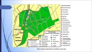 http://www.arboretum-raciborz.com.pl/
 