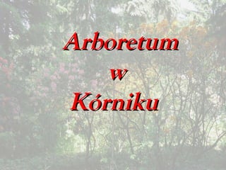 ArboretumArboretum
ww
KórnikuKórniku
 