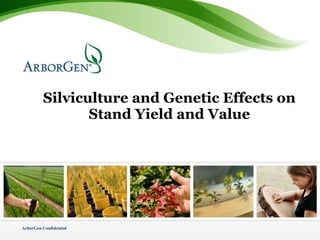 Silviculture and Genetic Effects on Stand Yield and Value 