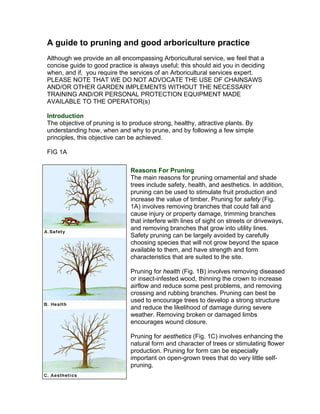 A guide to pruning and good arboriculture practice
Although we provide an all encompassing Arboricultural service, we feel that a
concise guide to good practice is always useful; this should aid you in deciding
when, and if, you require the services of an Arboricultural services expert.
PLEASE NOTE THAT WE DO NOT ADVOCATE THE USE OF CHAINSAWS
AND/OR OTHER GARDEN IMPLEMENTS WITHOUT THE NECESSARY
TRAINING AND/OR PERSONAL PROTECTION EQUIPMENT MADE
AVAILABLE TO THE OPERATOR(s)

Introduction
The objective of pruning is to produce strong, healthy, attractive plants. By
understanding how, when and why to prune, and by following a few simple
principles, this objective can be achieved.

FIG 1A

                               Reasons For Pruning
                               The main reasons for pruning ornamental and shade
                               trees include safety, health, and aesthetics. In addition,
                               pruning can be used to stimulate fruit production and
                               increase the value of timber. Pruning for safety (Fig.
                               1A) involves removing branches that could fall and
                               cause injury or property damage, trimming branches
                               that interfere with lines of sight on streets or driveways,
                               and removing branches that grow into utility lines.
                               Safety pruning can be largely avoided by carefully
                               choosing species that will not grow beyond the space
                               available to them, and have strength and form
                               characteristics that are suited to the site.

                               Pruning for health (Fig. 1B) involves removing diseased
                               or insect-infested wood, thinning the crown to increase
                               airflow and reduce some pest problems, and removing
                               crossing and rubbing branches. Pruning can best be
                               used to encourage trees to develop a strong structure
                               and reduce the likelihood of damage during severe
                               weather. Removing broken or damaged limbs
                               encourages wound closure.

                               Pruning for aesthetics (Fig. 1C) involves enhancing the
                               natural form and character of trees or stimulating flower
                               production. Pruning for form can be especially
                               important on open-grown trees that do very little self-
                               pruning.
 