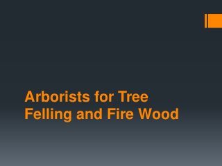 Arborists for Tree
Felling and Fire Wood

 