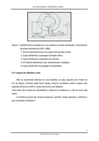 Arborização Urbana