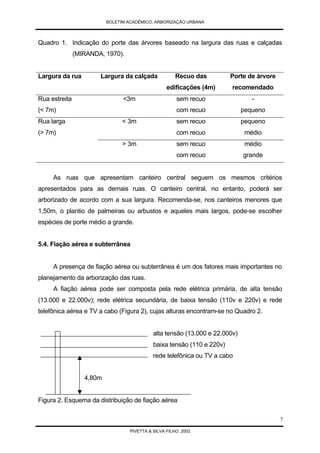 Arborização Urbana