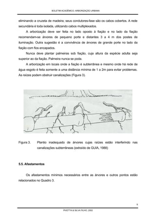 Arborização Urbana