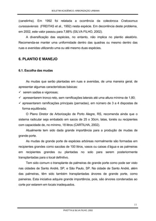 Arborização Urbana