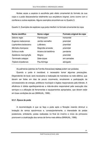 Arborização Urbana