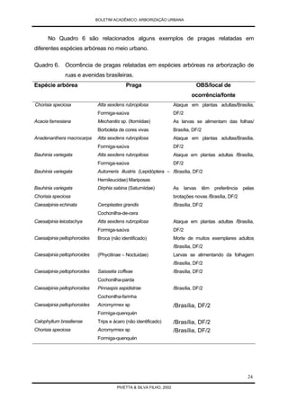 Arborização Urbana