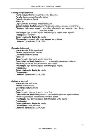 Arborização Urbana