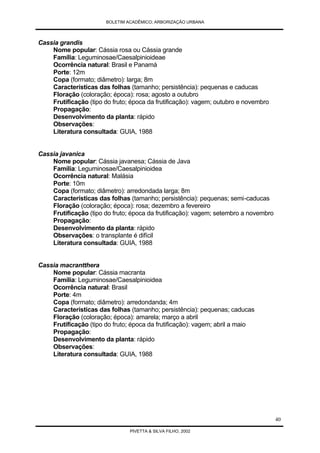 Arborização Urbana