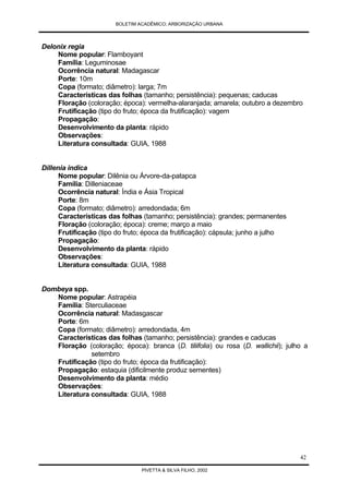 Arborização Urbana