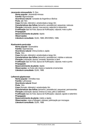 Arborização Urbana