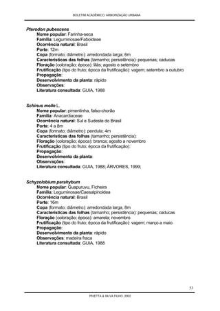 Arborização Urbana