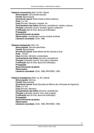 Arborização Urbana