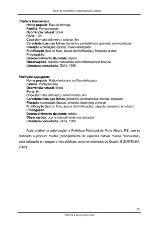 Arborização Urbana