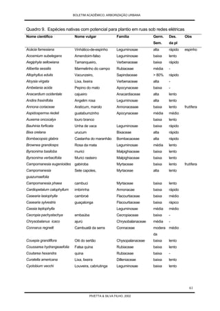 Arborização Urbana