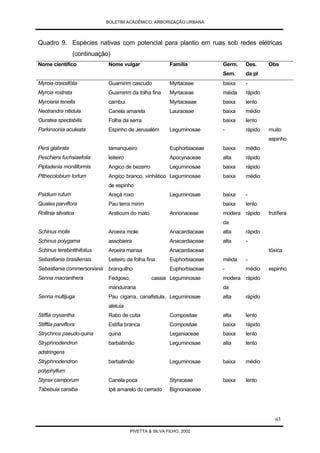 Arborização Urbana
