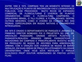 10
ENTRE 1950 E 1970, CAMPINAS TEM UM MOMENTO INTENSO DE
MULTIPLICAÇÃO E PLANTIO DE ÁRVORES EM VIAS E LOGRADOUROS
PÚBLICOS, COM PROCESSOS MUITO RICOS DE EXPANSÃO
COMERCIAL DE FLORICULTURAS E VIVEIROS DE PLANTAS
ORNAMENTAIS, COMO A FLORICULTURA CAMPINEIRA, O
ORQUIDÁRIO BRASIL, O TILLI FLORES, A FLORA NOVAES, DENTRE
OUTROS MENORES, COMO O VIVEIRO DA FAZENDA RIO DAS
PEDRAS, ESPECIALIZADA EM MUDAS NATIVAS E ORNAMENTAIS
INTRODUZIDAS.
EM 1975 É CRIADO O DEPARTAMENTO DE PARQUES E JARDINS E O
PRIMEIRO DIRETOR NOMEADO FOI O PROJETISTA DO DAE, SR.
ARIOVALDO PASSADORE, GRANDE ARTISTA PLÁSTICO E
PAISAGISTA.REALIZOU GRANDES OBRAS PAISAGISTICAS E
INOVADORAS EM CAMPINAS E PRINCIPALMENTE INVESTIU MUITO
EM PRODUÇÃO DE MUDAS DE ÁRVORES PARA ARBORIZAÇÃO
URBANA, COM A CRIAÇÃO DOS VIVEIROS DE MUDAS DE BARÃO
GERALDO, EM DUAS ÁREAS DE PRAÇA DO LOTEAMENTO DA CIDADE
UNIVERSITÁRIA, ONDE HOJE ESTÁ INSTALADO O PARQUE
ECOLÓGICO PROFº DOUTOR HERMÓGENES DE FREITAS LEITÃO
FILHO.
 