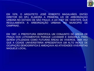 11
EM 1978, O ARQUITETO JOSÉ ROBERTO MAGALHÃES. ENTÃO
DIRETOR DO DPJ, ELABORA A PRIMEIRA LEI DE ARBORIZAÇÃO
URBANA NO ESTADO DE SÃO PAULO, A LEI 4.807 DE 14/09/1978, QUE
REGULAMENTA A ARBORIZAÇÃO URBANA NO MUNICIPIO DE
CAMPINAS .
EM 1987, A PREFEITURA IDENTIFICA UM CONJUNTO DE ÁREAS DE
PRAÇA DOS LOTEAMENTOS PARQUE LUCIAMAR E XANGRILÁ, PARA
SEREM UTILIZADAS COMO FUTURAS ÁREAS DE VIVEIROS, UMA VEZ
QUE A CIDADE UNIVERSITÁRIA APRESENTAVA UM ALTO INDICE DE
OCUPAÇÃO DEMOGRÁFICA E AMEAÇAVA AS ATIVIDADES VIVEIRISTAS
NAQUELE LOCAL.
 