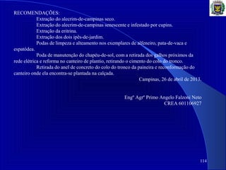 114
RECOMENDAÇÕES:
Extração do alecrim-de-campinas seco.
Extração do alecrim-de-campinas senescente e infestado por cupins.
Extração da eritrina.
Extração dos dois ipês-de-jardim.
Podas de limpeza e alteamento nos exemplares de alfeneiro, pata-de-vaca e
espatódea.
Poda de manutenção do chapéu-de-sol, com a retirada dos galhos próximos da
rede elétrica e reforma no canteiro de plantio, retirando o cimento do colo do tronco.
Retirada do anel de concreto do colo do tronco da paineira e reconformação do
canteiro onde ela encontra-se plantada na calçada.
Campinas, 26 de abril de 2013.
Engº Agrº Primo Angelo Falzoni Neto
CREA 601106927
 