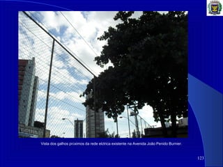 123
Vista dos galhos próximos da rede elétrica existente na Avenida João Penido Burnier.
 