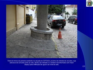 125
Vista do tronco da paineira existente na calçada do COTUCA, próximo da entrada de veículos, cuja
estrutura de concreto junto ao colo, deverá ser retirada e o canteiro reconformado com maior
espaço para infiltração de água e ao nível do solo.
 