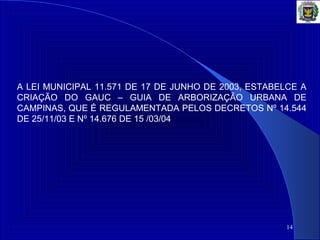 14
A LEI MUNICIPAL 11.571 DE 17 DE JUNHO DE 2003, ESTABELCE A
CRIAÇÃO DO GAUC – GUIA DE ARBORIZAÇÃO URBANA DE
CAMPINAS, QUE É REGULAMENTADA PELOS DECRETOS Nº 14.544
DE 25/11/03 E Nº 14.676 DE 15 /03/04
 