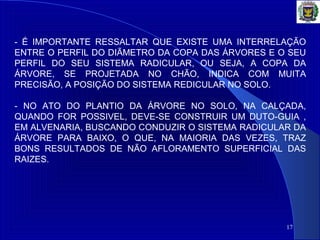 17
- É IMPORTANTE RESSALTAR QUE EXISTE UMA INTERRELAÇÃO
ENTRE O PERFIL DO DIÃMETRO DA COPA DAS ÁRVORES E O SEU
PERFIL DO SEU SISTEMA RADICULAR, OU SEJA, A COPA DA
ÁRVORE, SE PROJETADA NO CHÃO, INDICA COM MUITA
PRECISÃO, A POSIÇÃO DO SISTEMA REDICULAR NO SOLO.
- NO ATO DO PLANTIO DA ÁRVORE NO SOLO, NA CALÇADA,
QUANDO FOR POSSIVEL, DEVE-SE CONSTRUIR UM DUTO-GUIA ,
EM ALVENARIA, BUSCANDO CONDUZIR O SISTEMA RADICULAR DA
ÁRVORE PARA BAIXO, O QUE, NA MAIORIA DAS VEZES, TRAZ
BONS RESULTADOS DE NÃO AFLORAMENTO SUPERFICIAL DAS
RAIZES.
 