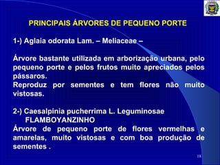 18
PRINCIPAIS ÁRVORES DE PEQUENO PORTE
1-) Aglaia odorata Lam. – Meliaceae –
Árvore bastante utilizada em arborização urbana, pelo
pequeno porte e pelos frutos muito apreciados pelos
pássaros.
Reproduz por sementes e tem flores não muito
vistosas.
2-) Caesalpinia pucherrima L. Leguminosae
FLAMBOYANZINHO
Árvore de pequeno porte de flores vermelhas e
amarelas, muito vistosas e com boa produção de
sementes .
 