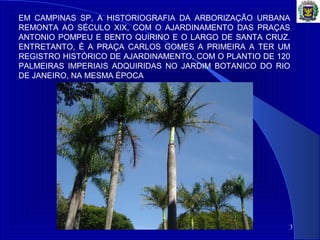 3
EM CAMPINAS SP, A HISTORIOGRAFIA DA ARBORIZAÇÃO URBANA
REMONTA AO SÉCULO XIX, COM O AJARDINAMENTO DAS PRAÇAS
ANTONIO POMPEU E BENTO QUIRINO E O LARGO DE SANTA CRUZ.
ENTRETANTO, É A PRAÇA CARLOS GOMES A PRIMEIRA A TER UM
REGISTRO HISTÓRICO DE AJARDINAMENTO, COM O PLANTIO DE 120
PALMEIRAS IMPERIAIS ADQUIRIDAS NO JARDIM BOTANICO DO RIO
DE JANEIRO, NA MESMA ÉPOCA
 
