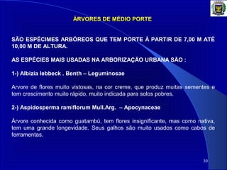 30
ÁRVORES DE MÉDIO PORTE
SÃO ESPÉCIMES ARBÓREOS QUE TEM PORTE À PARTIR DE 7,00 M ATÉ
10,00 M DE ALTURA.
AS ESPÉCIES MAIS USADAS NA ARBORIZAÇÃO URBANA SÃO :
1-) Albizia lebbeck . Benth – Leguminosae
Arvore de flores muito vistosas, na cor creme, que produz muitas sementes e
tem crescimento muito rápido, muito indicada para solos pobres.
2-) Aspidosperma ramiflorum Mull.Arg. – Apocynaceae
Árvore conhecida como guatambú, tem flores insignificante, mas como nativa,
tem uma grande longevidade. Seus galhos são muito usados como cabos de
ferramentas.
 