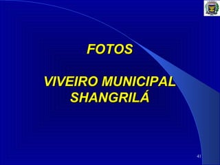 41
FOTOSFOTOS
VIVEIRO MUNICIPALVIVEIRO MUNICIPAL
SHANGRILÁSHANGRILÁ
 