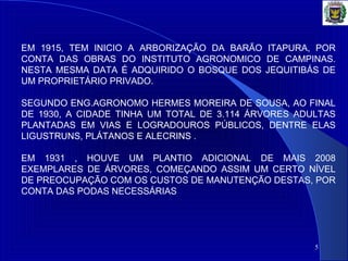 5
EM 1915, TEM INICIO A ARBORIZAÇÃO DA BARÃO ITAPURA, POR
CONTA DAS OBRAS DO INSTITUTO AGRONOMICO DE CAMPINAS.
NESTA MESMA DATA É ADQUIRIDO O BOSQUE DOS JEQUITIBÁS DE
UM PROPRIETÁRIO PRIVADO.
SEGUNDO ENG.AGRONOMO HERMES MOREIRA DE SOUSA, AO FINAL
DE 1930, A CIDADE TINHA UM TOTAL DE 3.114 ÁRVORES ADULTAS
PLANTADAS EM VIAS E LOGRADOUROS PÚBLICOS, DENTRE ELAS
LIGUSTRUNS, PLÁTANOS E ALECRINS .
EM 1931 , HOUVE UM PLANTIO ADICIONAL DE MAIS 2008
EXEMPLARES DE ÁRVORES, COMEÇANDO ASSIM UM CERTO NÍVEL
DE PREOCUPAÇÃO COM OS CUSTOS DE MANUTENÇÃO DESTAS, POR
CONTA DAS PODAS NECESSÁRIAS
 