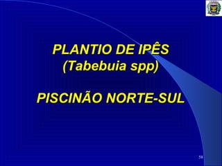 58
PLANTIO DE IPÊSPLANTIO DE IPÊS
(Tabebuia spp)(Tabebuia spp)
PISCINÃO NORTE-SULPISCINÃO NORTE-SUL
 