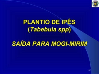 62
PLANTIO DE IPÊS PLANTIO DE IPÊS 
((Tabebuia sppTabebuia spp))
SAÍDA PARA MOGI-MIRIMSAÍDA PARA MOGI-MIRIM
 