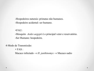 -Hospedeiros naturais: primatas não humanos.
       -Hospedeiro acidental: ser humano.

       ∗FAU:
       -Mosquito Aedes aegypti é o principal vetor e reservatório.
       -Ser Humano: hospedeiro.

4-Modo de Transmissão:
       ∗ FAS :
       Macaco infectado → H. janthinomys → Macaco sadio
 